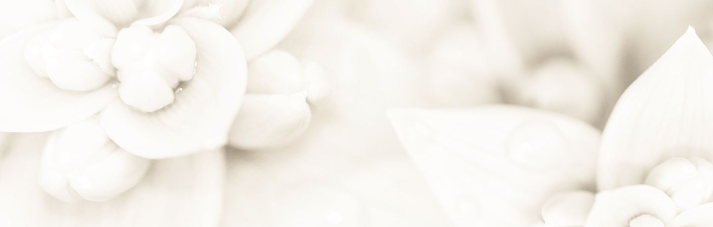 LRN Discovery Solutions LLP
